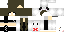 Texture for panda herobrine