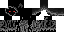 Texture for Morph