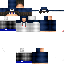 Texture for Steve