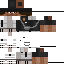 Texture for Hg steve