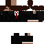 Texture for Leines Agent