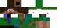 Texture for steve the hunter