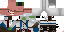 Texture for Pig sassins