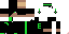 Texture for erik