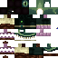 Texture for The Ender Ender