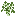 Texture for birch_sapling