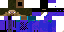 Texture for euler