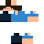 Texture for Steve
