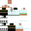 Texture for S_HAWK
