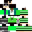 Texture for Steve