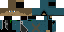 Texture for ninja
