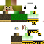 Texture for MEGAPIE06