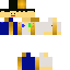 Texture for Nesh V5