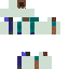 Texture for Steve