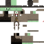 Texture for New Turtle
