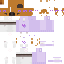 Texture for ds