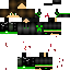 Texture for peterminecrafter