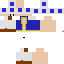 Texture for ds
