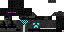 Texture for enderman hunter