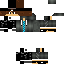 Texture for Herman