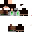 Texture for Steve