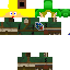 Texture for hol