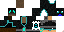 Texture for Assassin