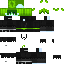 Texture for スキン