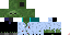 Texture for erik