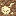 Texture for Pigman Fossil