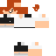 Texture for Albert