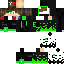Texture for Megaevolution