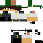Texture for Finance Police skin for minecarft (enhanced)