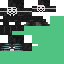Texture for Анонимус Визер