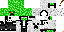 Texture for Creeper Assassin