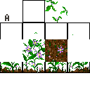 Texture for Garden Shulker