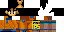 Texture for Felipea360
