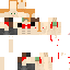 Texture for BotiGamer