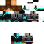 Texture for steve