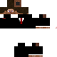 Texture for steve com terno