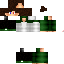 Texture for TRUDY