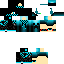 Texture for ninja