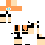 Texture for lara
