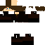 Texture for steve2