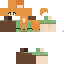 Texture for Lisa1