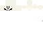 Texture for head
