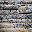 Texture for dark_oak_log