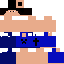 Texture for brancher_jr2015