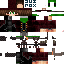 Texture for fantom_2010