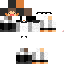 Texture for sakristan